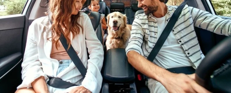 Co zabrać w podróż samochodem? – mytracko.pl